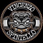 Vincenzospiniellofit