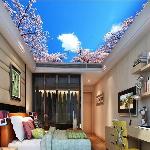 Soffittod Soffittod