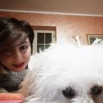 Pet Sitter Carolina Pet Sitter Carolina