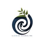 Elicoide Counseling  Fabrizio Maci