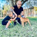 Mauro Albanese  Pitbullthedogd