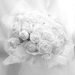 Raffaella Gentili Photography