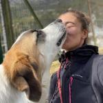 Dog First