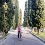 Selene Pino Selene Pino