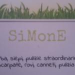 Simone