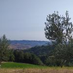 Sara Sara