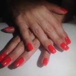 Studio Beauty Salon Studio Beauty Salon