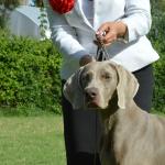 Elisabetta Greys Beth Elisabetta Greys Beth