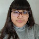 Lourdes Irene Pariona Coronado