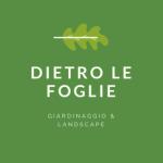 Dietro Le Foglie Dietro Le Foglie