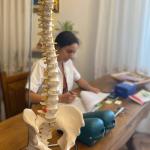 My Spine Design  Chiropratica