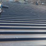 Kwazulunatal Francis