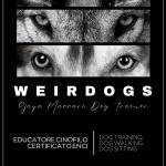 Weirdogs  Educatore Cinofilo