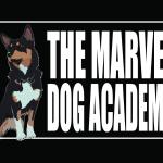 The Marvel Dog Academy The Marvel Dog Academy