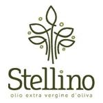 Benedetta Stellino S. Benedetta Stellino S.