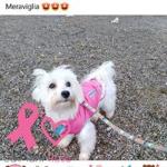 Giovanna Felletti Giovanna Felletti