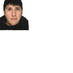 Peter Cardenas Peter Cardenas