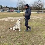 Luca Dog Trainer Luca Dog Trainer