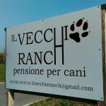 Pensione Per Cani Il Vecchio Ranch