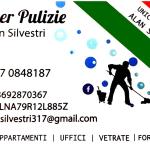 Silver Pulizie