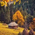 Constantin Marilena Marilena Constantin Marilena Marilena