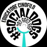 Socialdogs Socialdogs