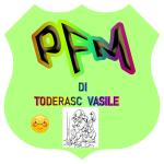 Pronto Falegname Marghera Di T Vasile