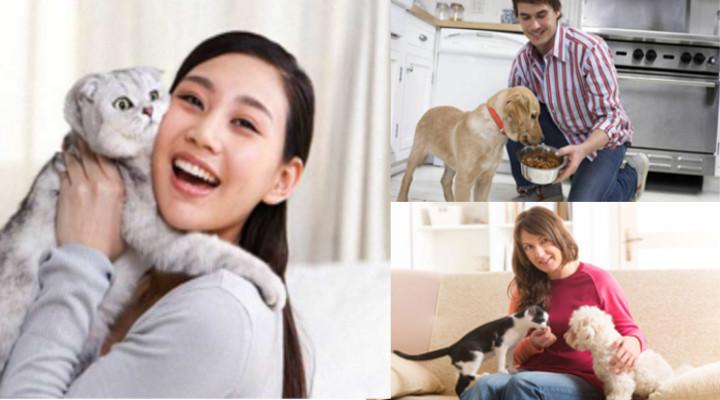 Dog sitter: Come Iniziare e Ottenere il 100% dei clienti