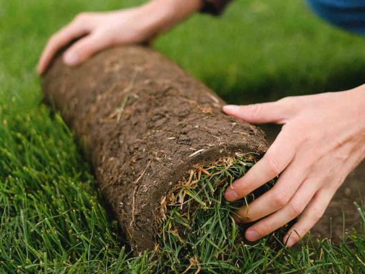 Giardino con erba sintetica: cosa devi sapere