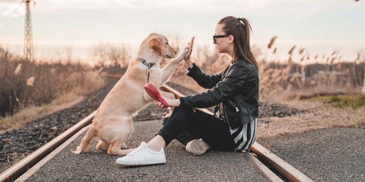 Qual'è il momento migliore per addestrare un cane